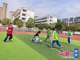 英超与西甲点球判罚差异分析